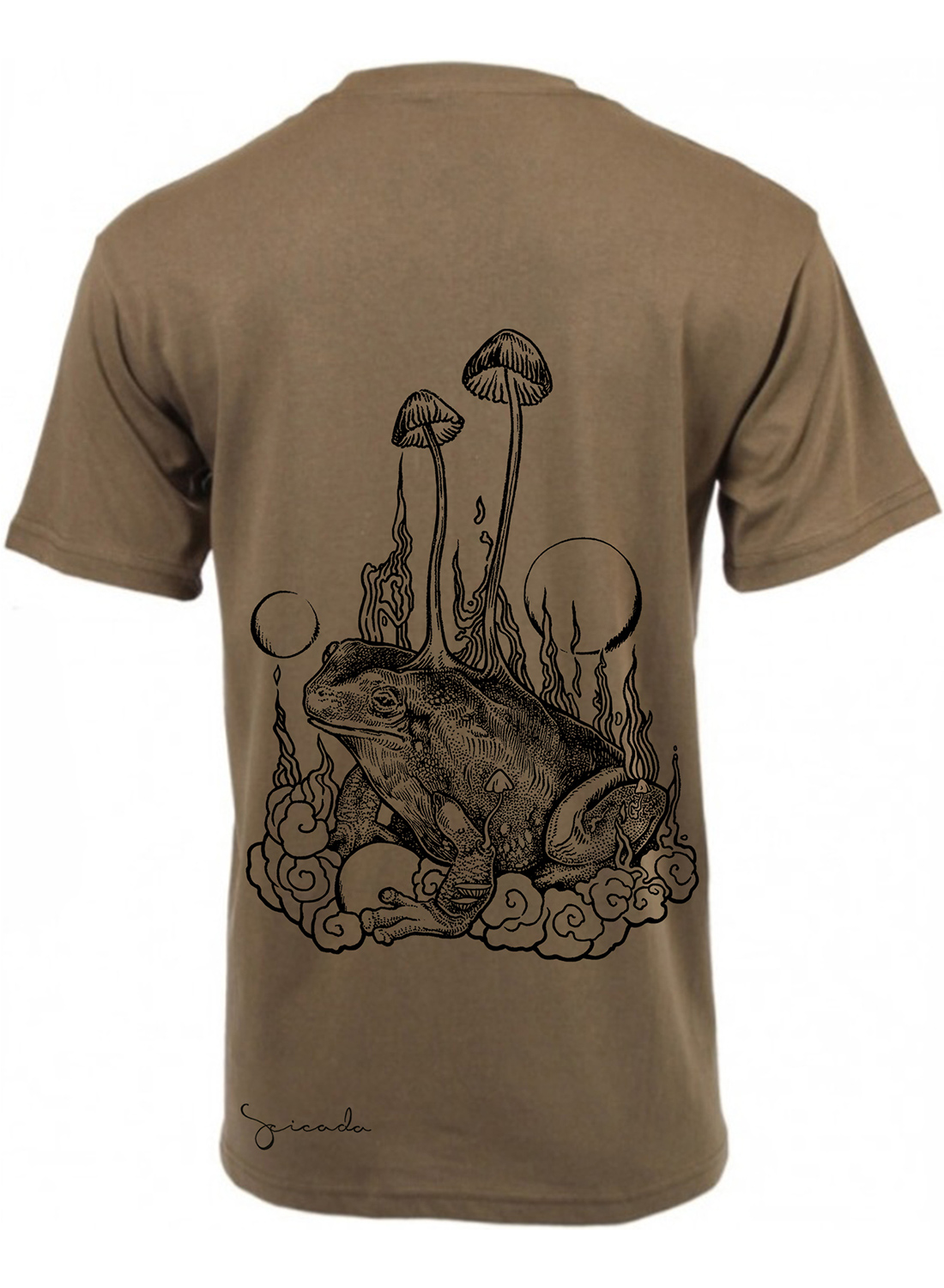 Mushrooms - Image 4