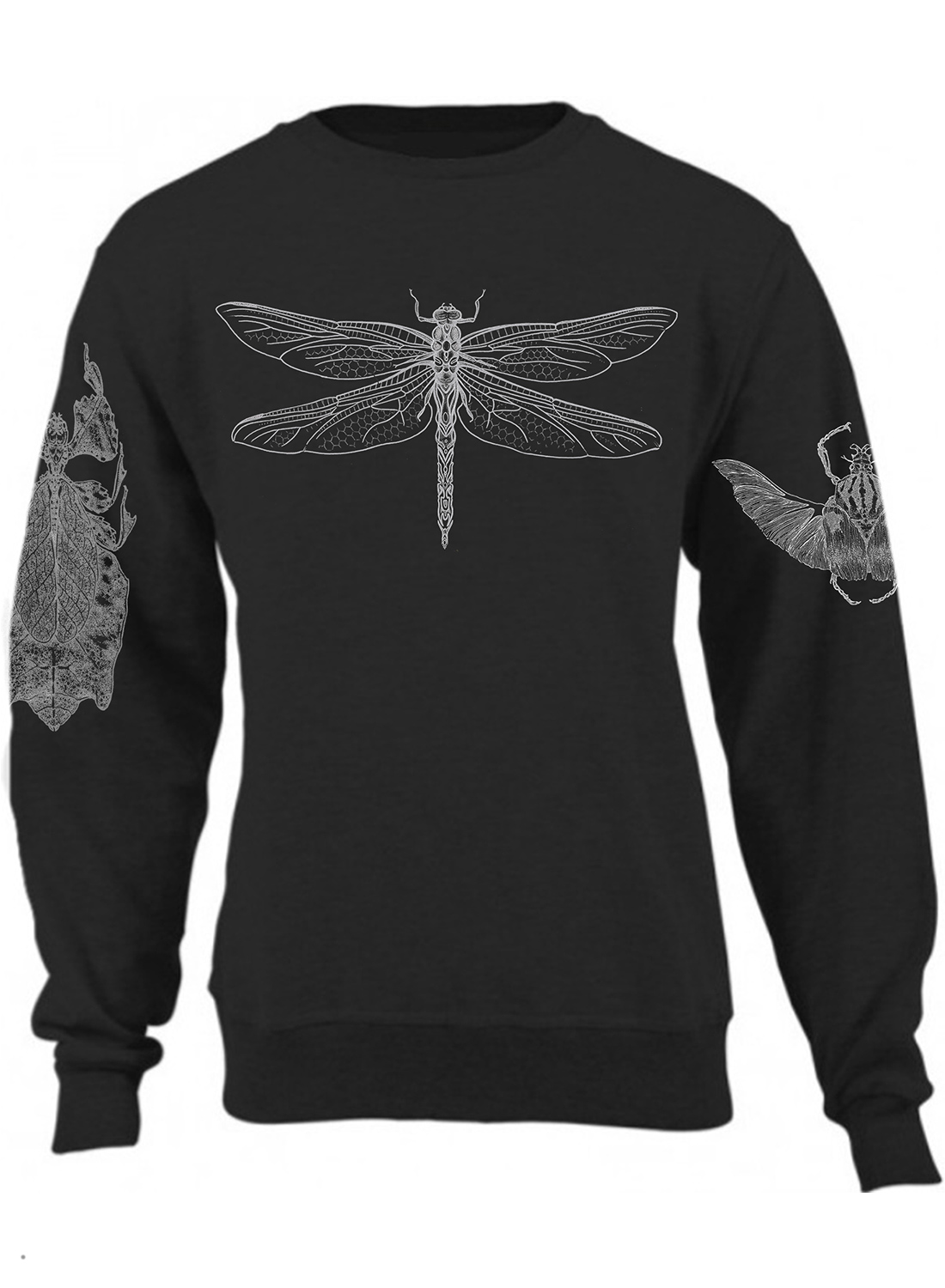 Insects - Image 4