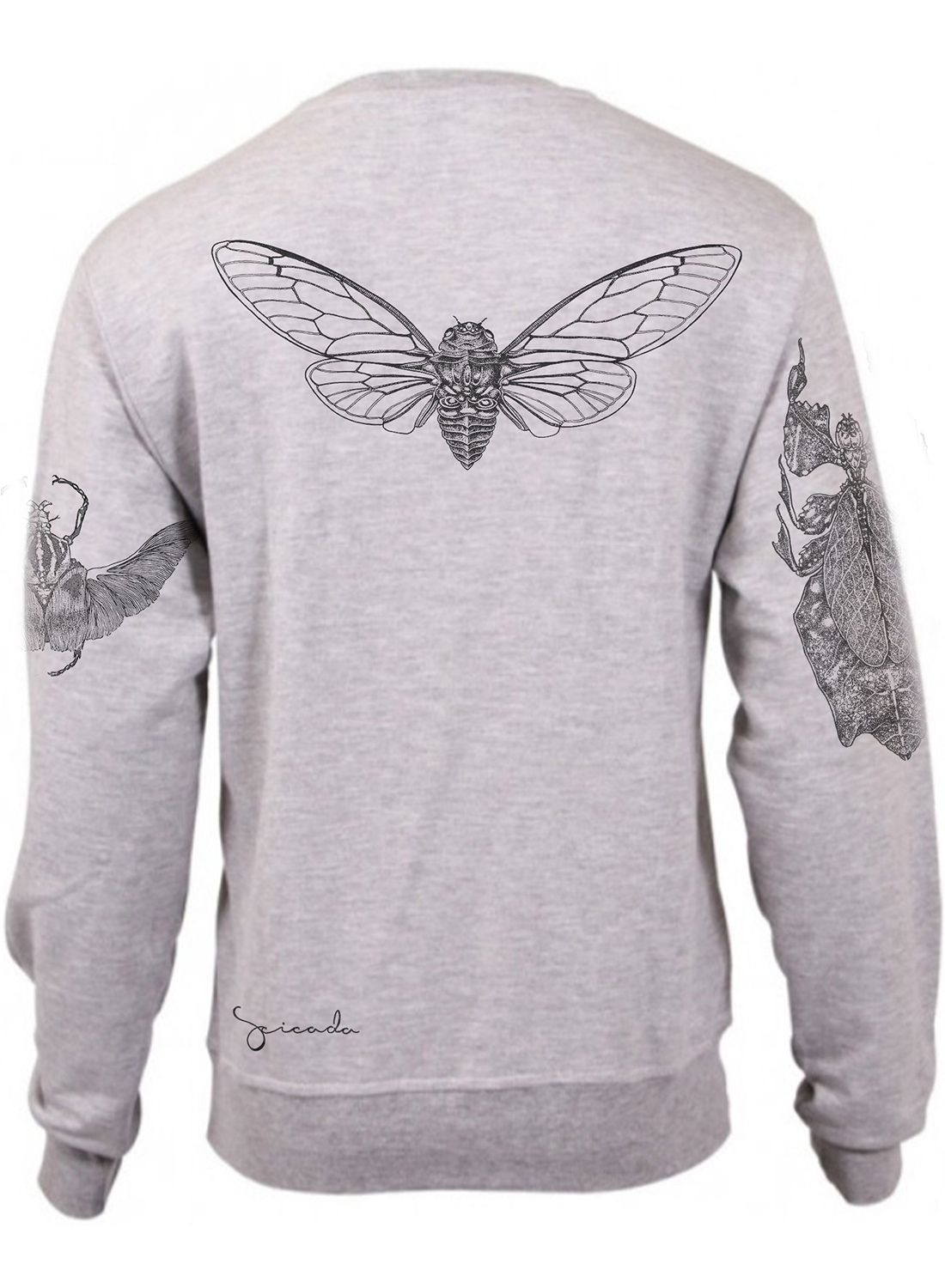 Insects