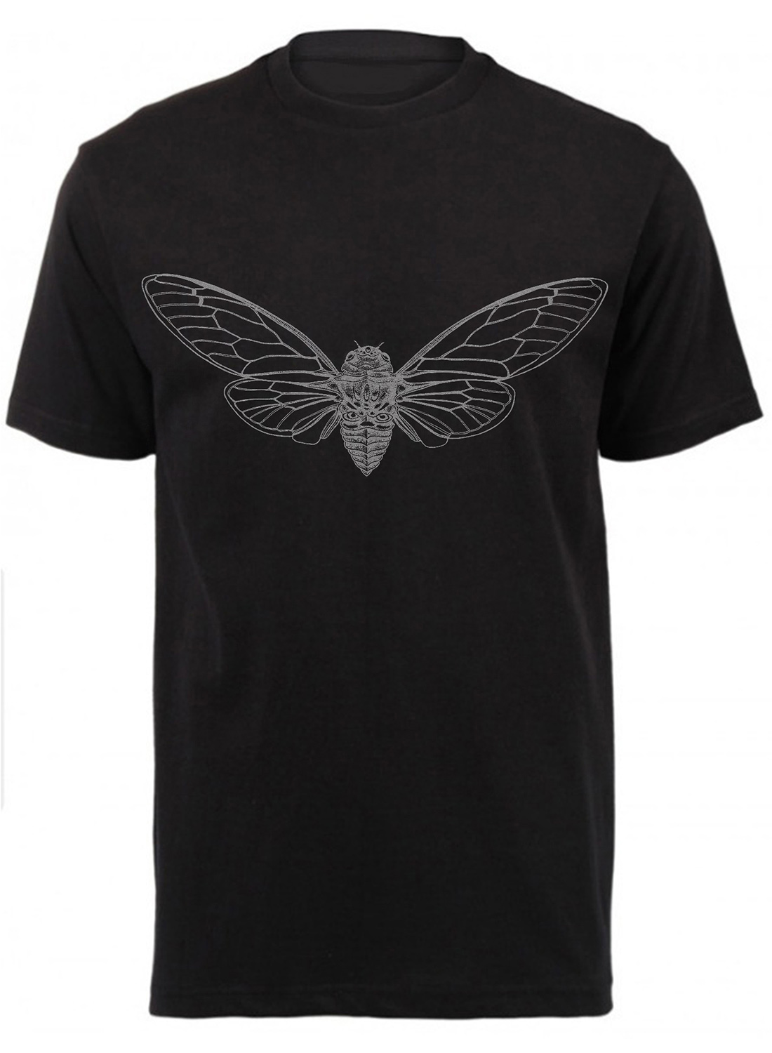 Cicada - Image 5