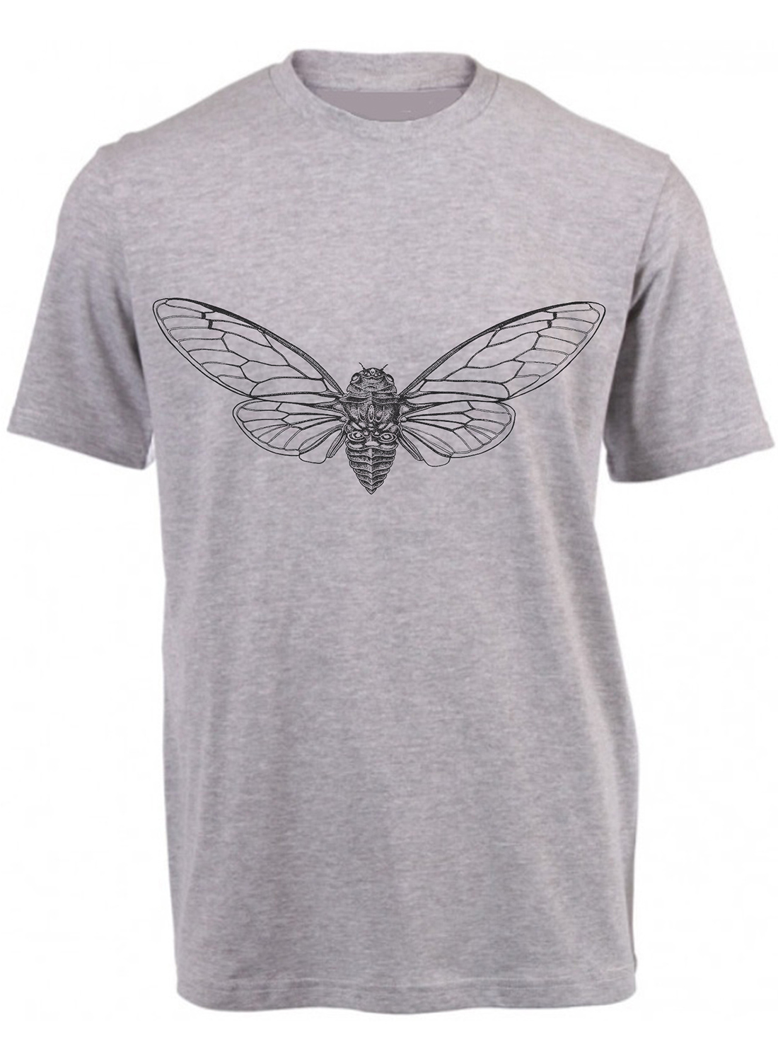 Cicada - Image 3