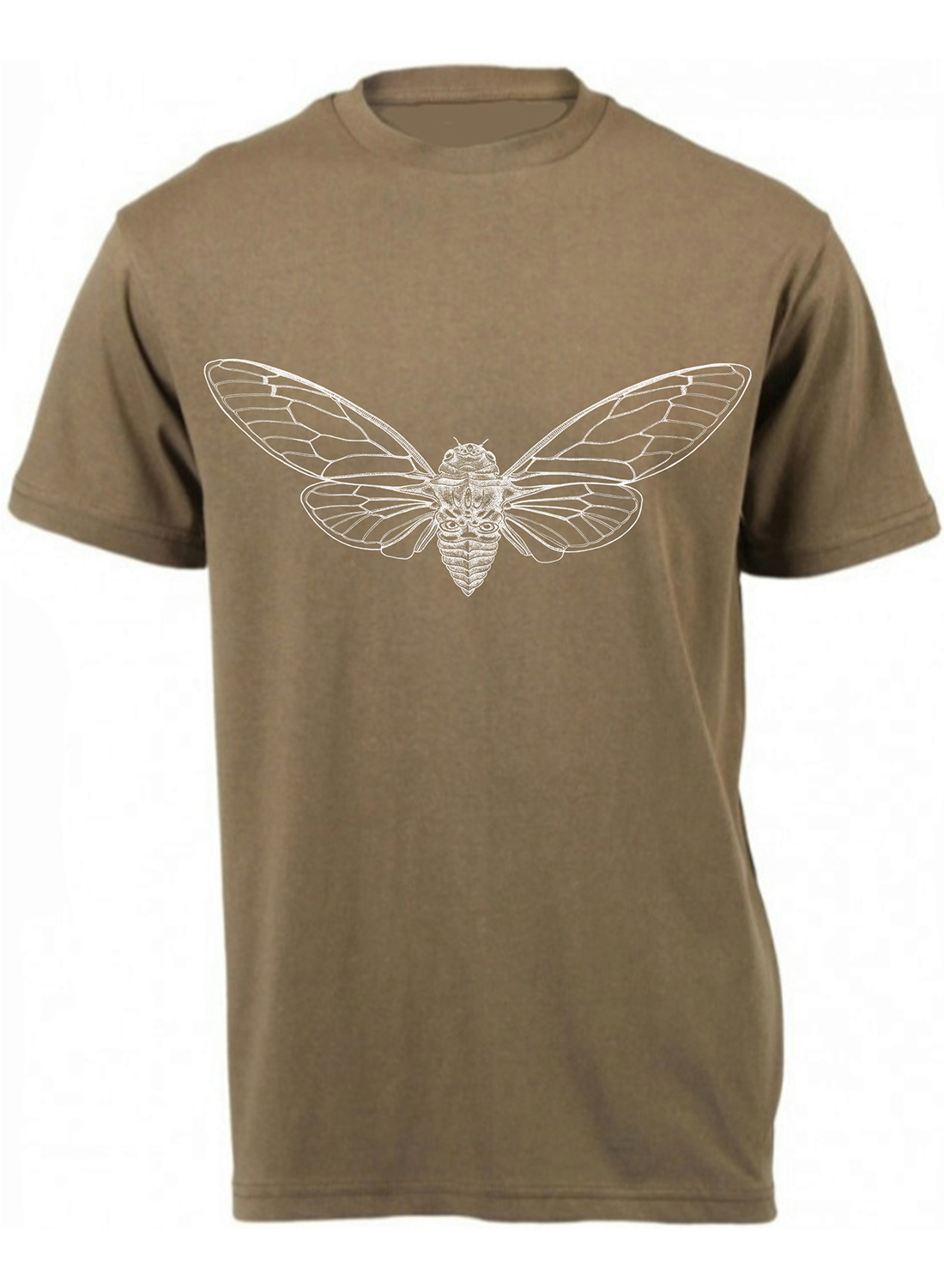 Cicada