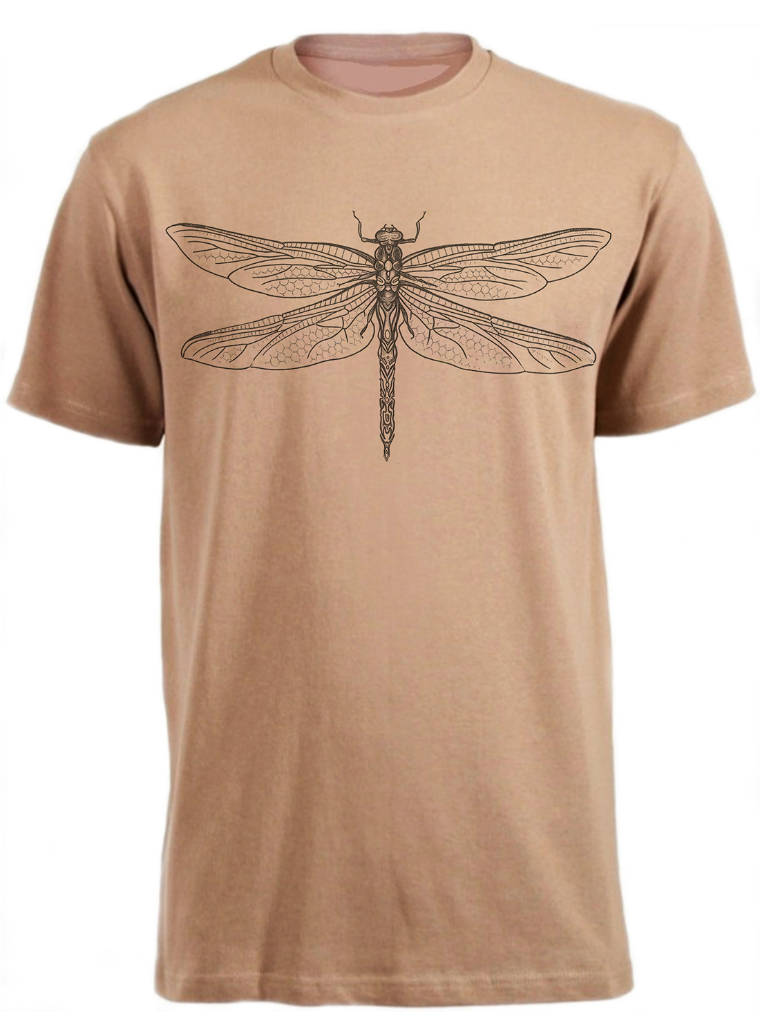 Dragonfly - Image 4