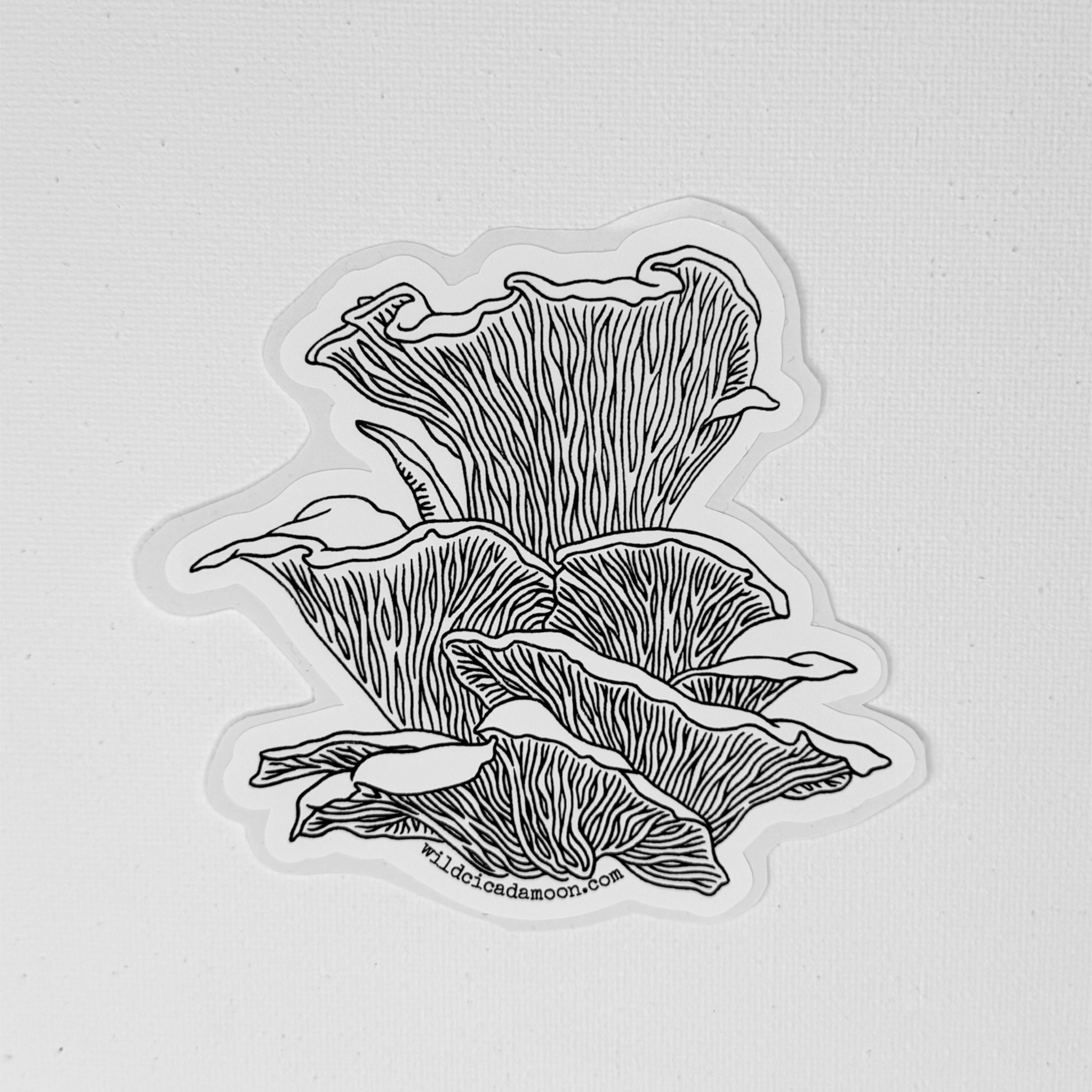 Oyster Mushroom Sticker