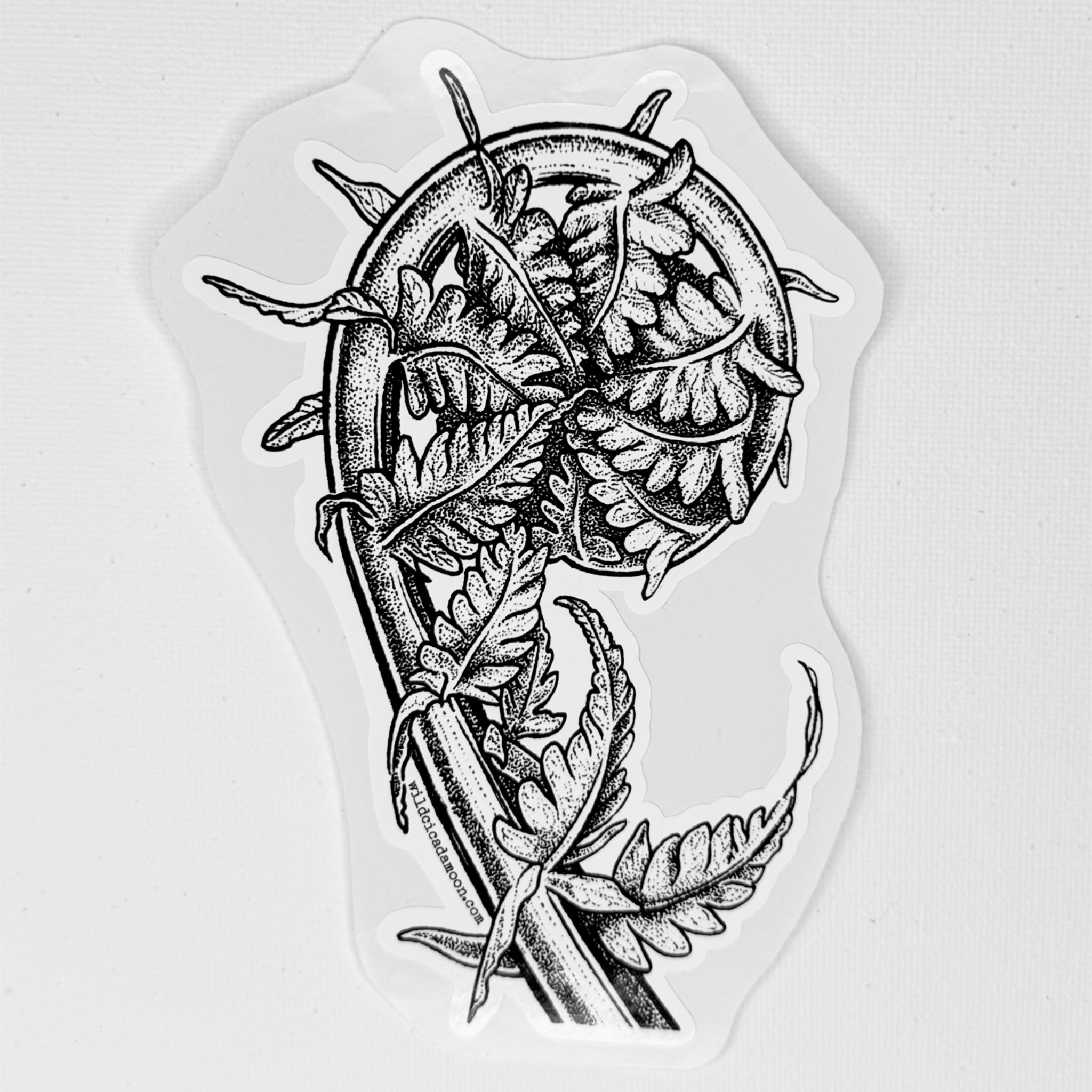 Fern Sticker