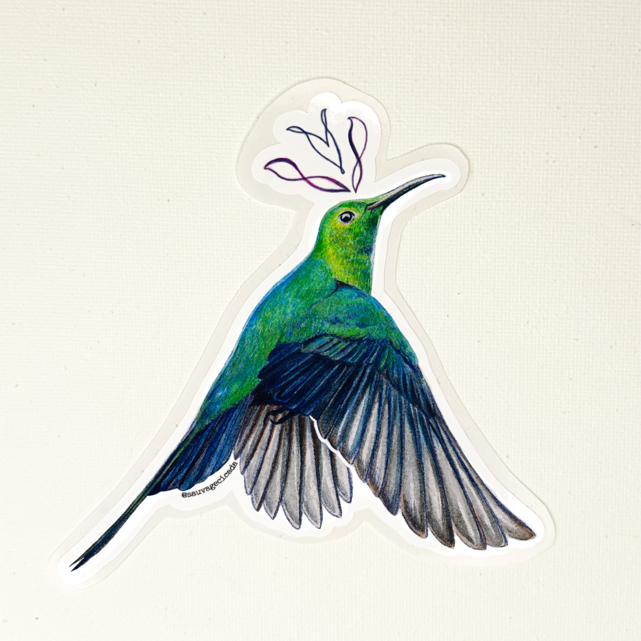 Hummingbird Sticker